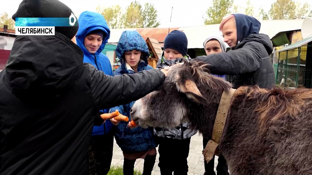 «Уроки доброты» возобновились у школьников