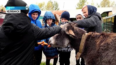 «Уроки доброты» возобновились у школьников