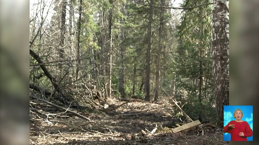 Председатель суда получил ранение