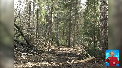 Председатель суда получил ранение