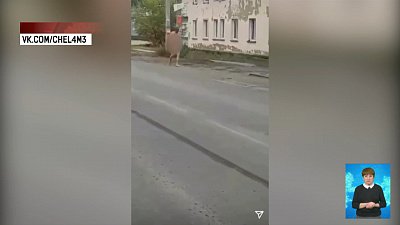 Голый мужчина пробежался по улицам Копейска