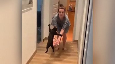 Мех и смех: спецвыпуск с котом рыболовом, юлой и летягой