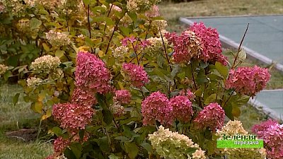 Зеленая передача 07.10.2021