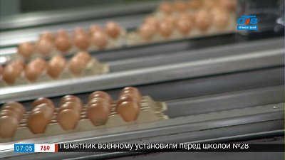 От курицы — к потребителю в сюжете «Из жизни яиц»
