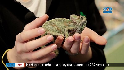 Всё живое из яйца в сюжете «Кто откладывает яйца»