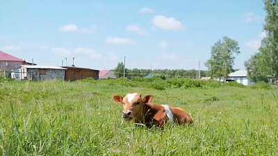 Традиции народов Южного Урала. Фильм 5. Мордовские традиции