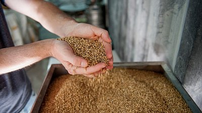 Челябинские пивовары: рост пошлин не повлияет на работу местных предприятий отрасли