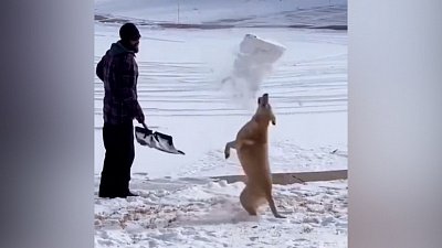 Мех и смех: снежный душ, рок-музыкант и правильная осанка