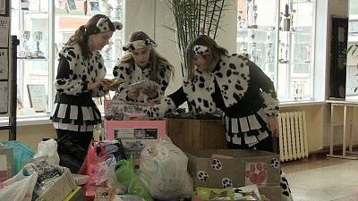 Миасские школьники помогают сгоревшему приюту