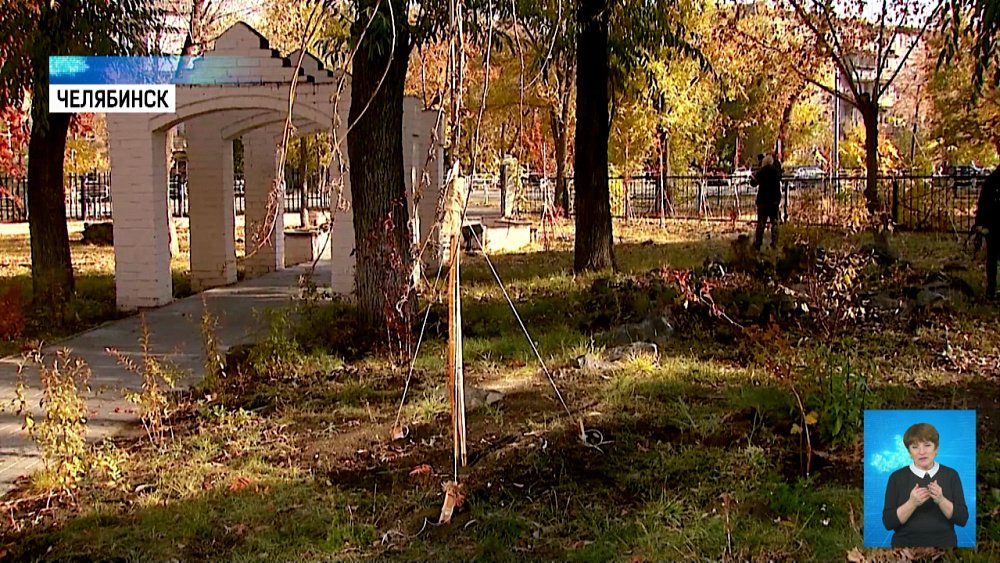 Школьники высадили именные деревья