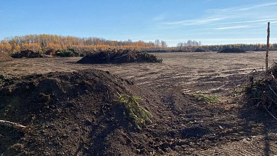 Каслинская компания нанесла ущерб почве на 145 млн рублей