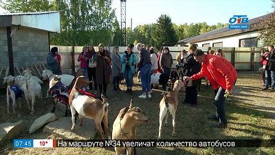 Покупки в Пласте и Чебаркуле в сюжете «Шоп-туры по Челябинской области»