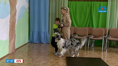 Метод реабилитации с участием собаки в сюжете «Канистерапия»