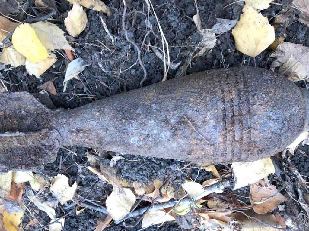 Минометный патрон. Мины от миномётов пластиковая. Минометная мина времен вов. Минометные мины времен великой отечественной войны. Тюльпан миномет снаряд.