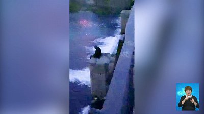 Челябинка спасла семью от падения в реку