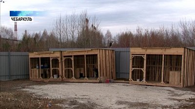 В Чебаркуле открыли приют для собак