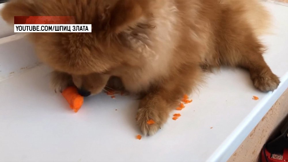 Мошенники обманули жительницу Каслей