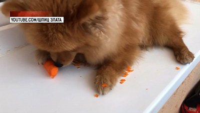 Мошенники обманули жительницу Каслей