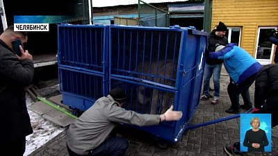Симбу и Еву готовят к полёту в Танзанию