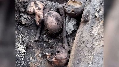 Жительница поселка Шершни обнаружила в земле человеческие останки