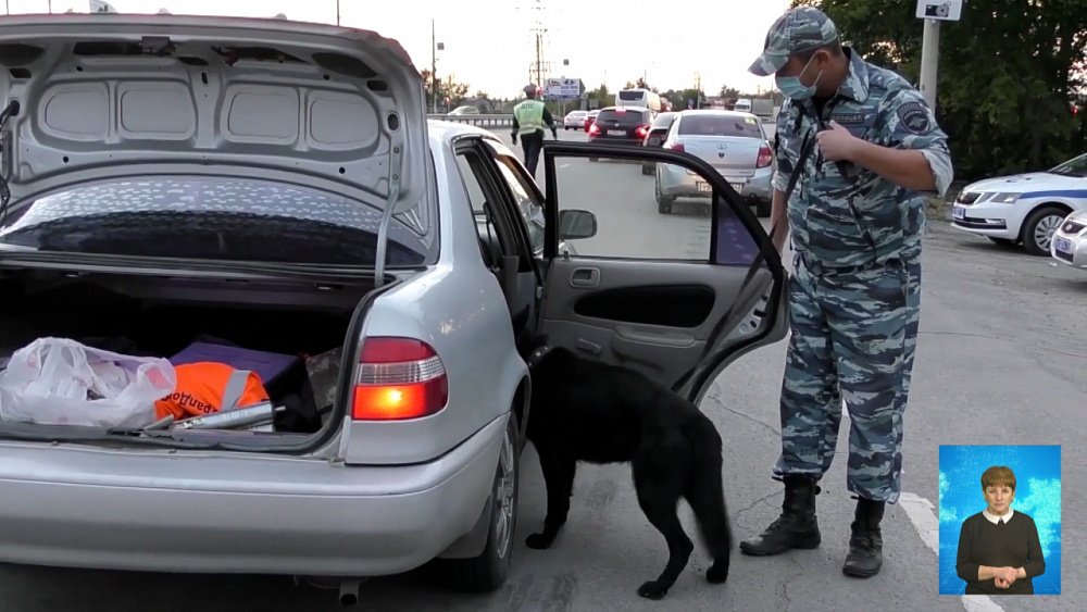 Полицейские отмечают свой профессиональный праздник