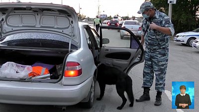 Полицейские отмечают свой профессиональный праздник