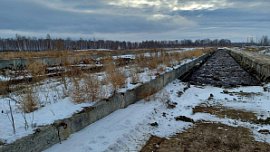 Сосновская птицефабрика через суд снизила штраф за захламление земель куриным пометом Сосновская птицефабрика через суд снизила штраф за захламление земель куриным пометом