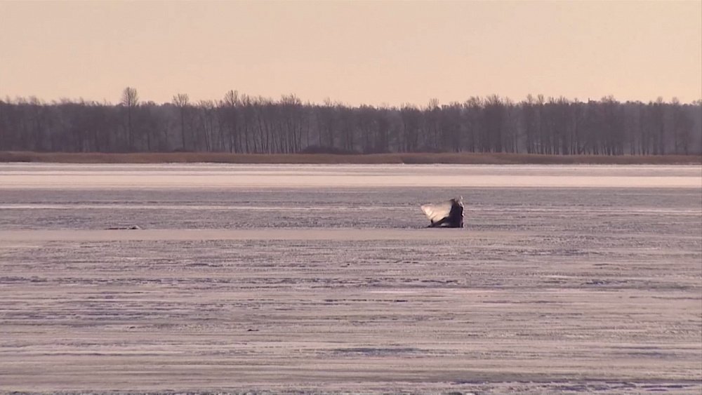 Как выбраться из ледяной воды?