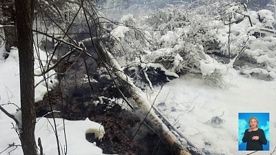 В Златоусте тлеют торфяники В Златоусте тлеют торфяники