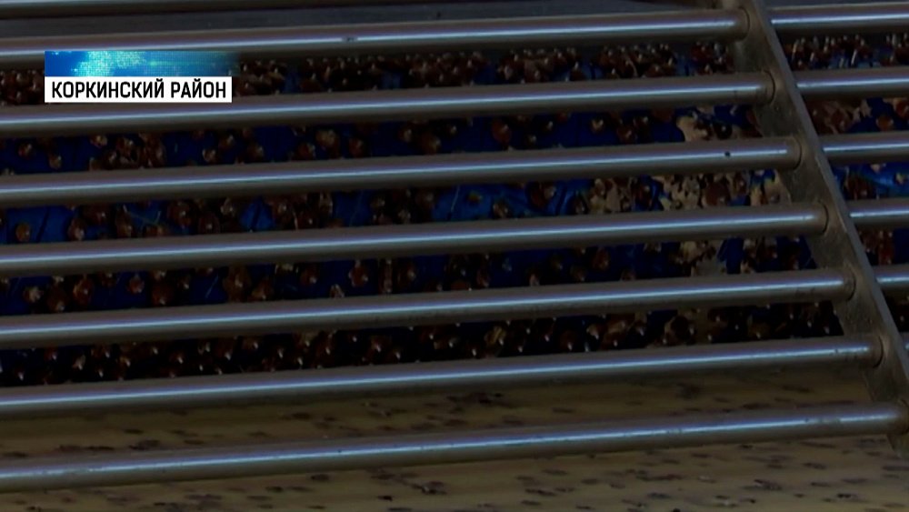 Южноуральские экспортеры лидеры в УРФО