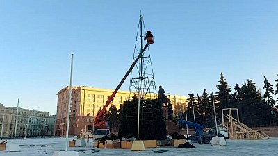В Челябинске на площади Революции установили новогоднюю елку