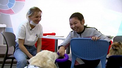 В Челябинске собаки помогают детям научиться читать