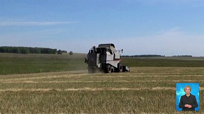 Названы лучшие аграрии региона