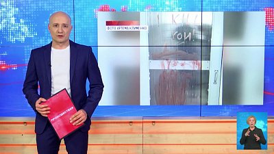 Подросток растерзала кошку в Челябинске