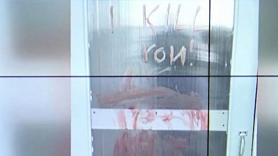 Психолог рассказала, почему 13-летняя девочка в Челябинске могла убить котенка