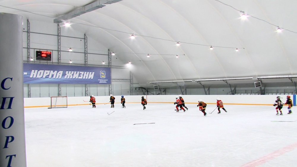 Удачный сезон для детского хоккея