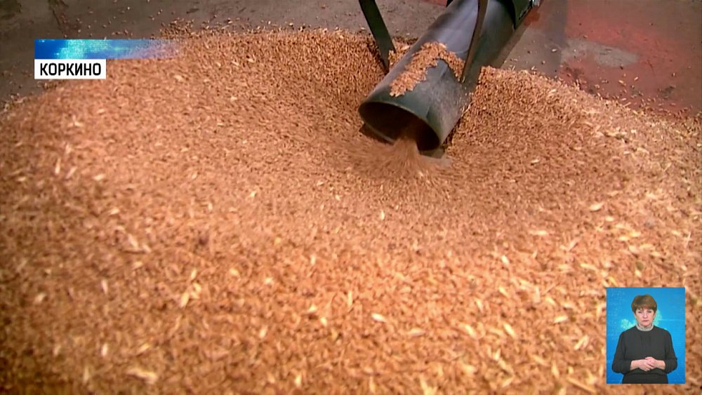 В регионе разработали мобильный кормовой цех