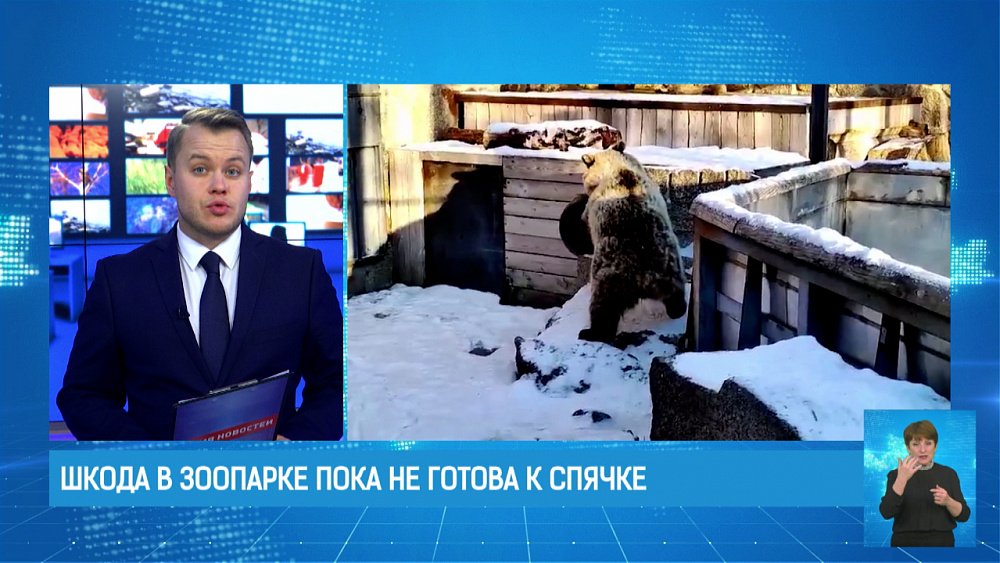 Шкода в зоопарке пока не готова к спячке