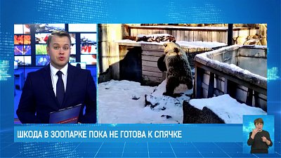 Шкода в зоопарке пока не готова к спячке