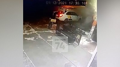 Таксист, бросивший щенят на морозе в Магнитогорске, попал на запись видеокамер