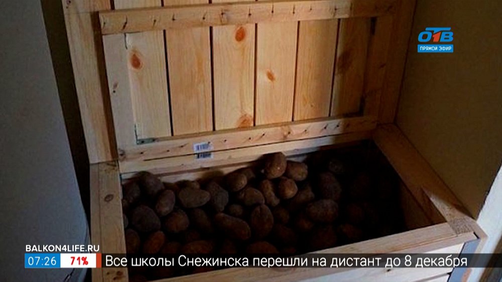 Как правильно хранить картофель в рубрике «Срок годности»