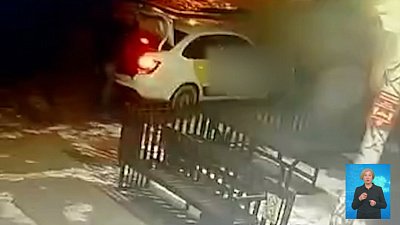 Мужчина выбросил щенят на мороз