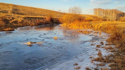 Дело о загрязнении реки Уй «Ромкором» рассмотрит Росприроднадзор