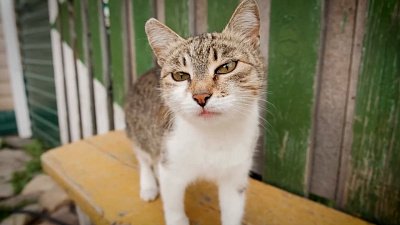 «ЭкоЛогике» 2 года! Кто постоянно остается за кадром?