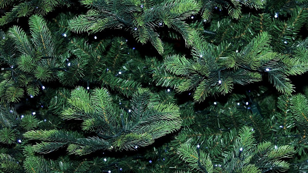 Инструкция: как выбрать искусственную елку на Новый год