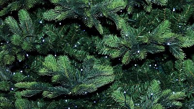 Инструкция: как выбрать искусственную елку на Новый год