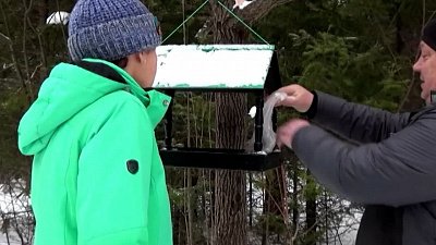 В нацпарке «Таганай» зооволонтеры кормят птиц