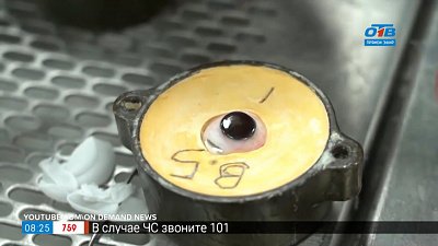 Кибер-глаз в рубрике «Инспектор Гаджет»