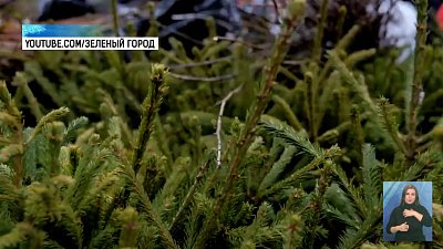 В Челябинске прошел международный экофорум