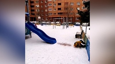 В сети набирает популярность видео с горкой, ведущей в забор